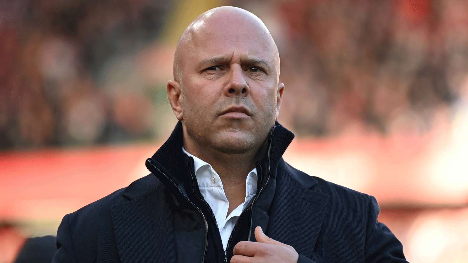 凤毛麟角 凤毛麟角